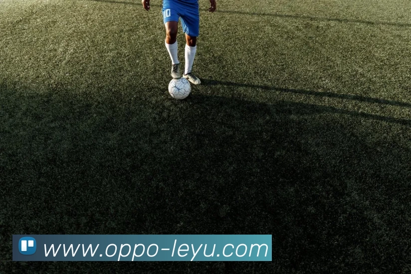 乐鱼体育APP 体育赛事宣传图